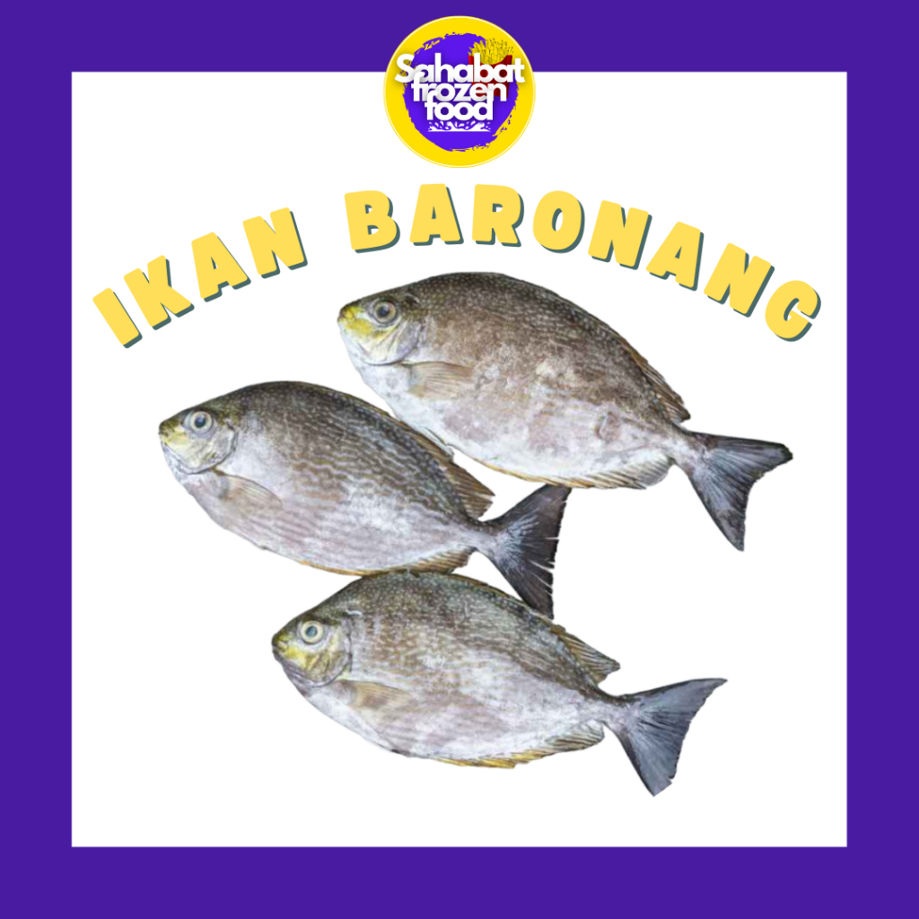 

Ikan Baronang Segar