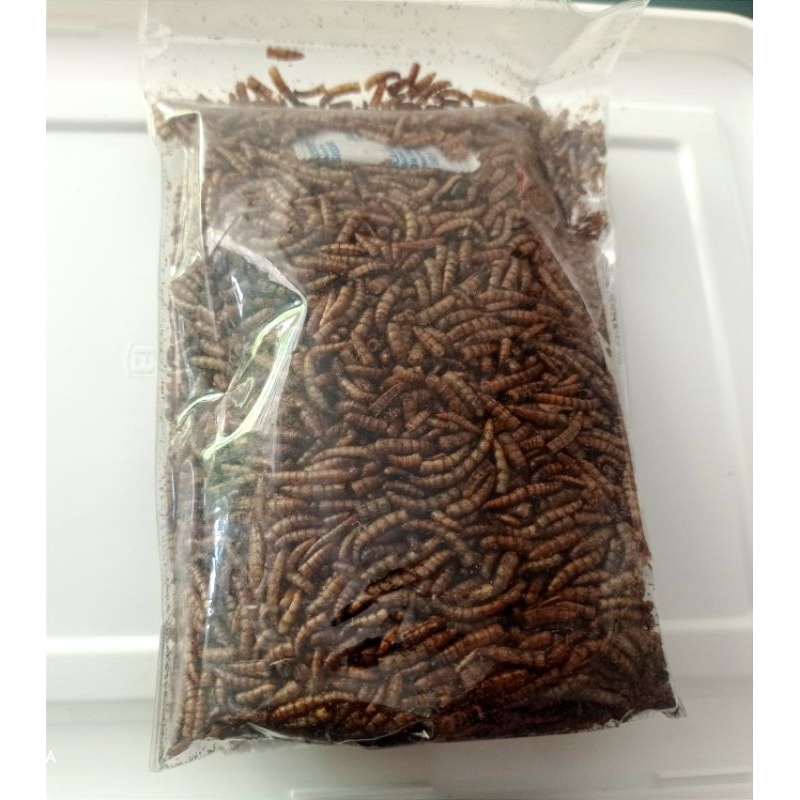Cemilan Hamster Ulat Hongkong 100gr