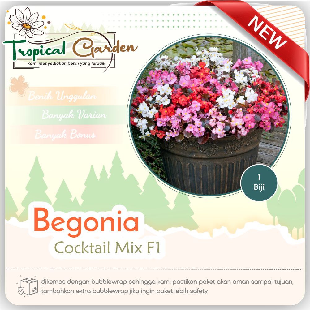 ✿ Tropical Garden ✿ Benih Biji Bunga Begonia Cocktail Mix F1 COD ✅