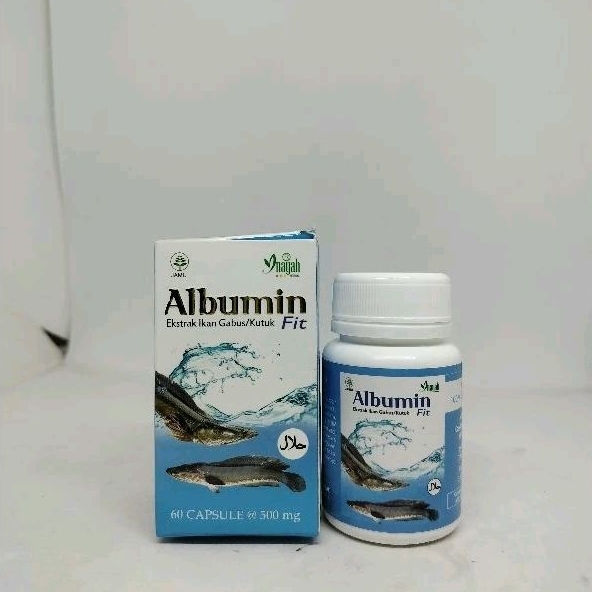 albumin ikan gabus 60 kapsul