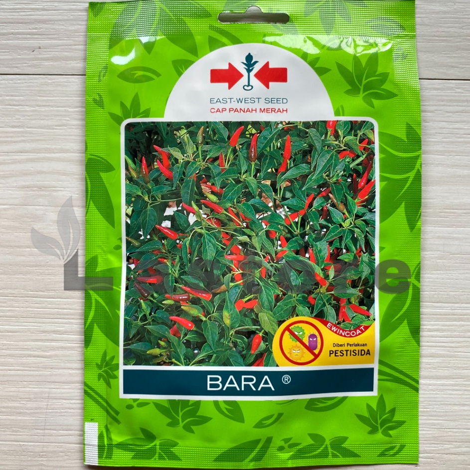 GROSIR benih bibit cabai cabe rawit bara 5 butir cap panah merah kemasan pabrik