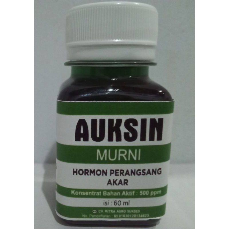 hormon AUKSIN perangsang AKAR hormon AUKSIN murni 60ml