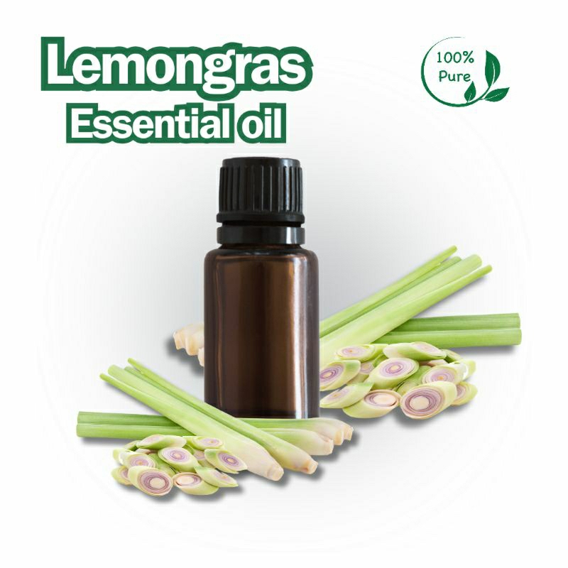 esential oil lemongrass essential oil sereh