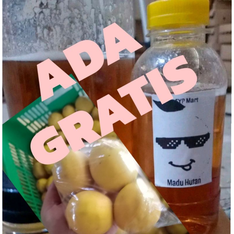 

Madu Hutan Asli