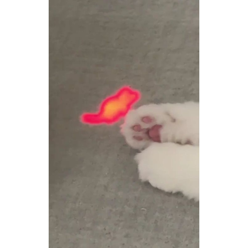 Postcard dan Photocard Official Pond Phuwin CC We Are GMMTV