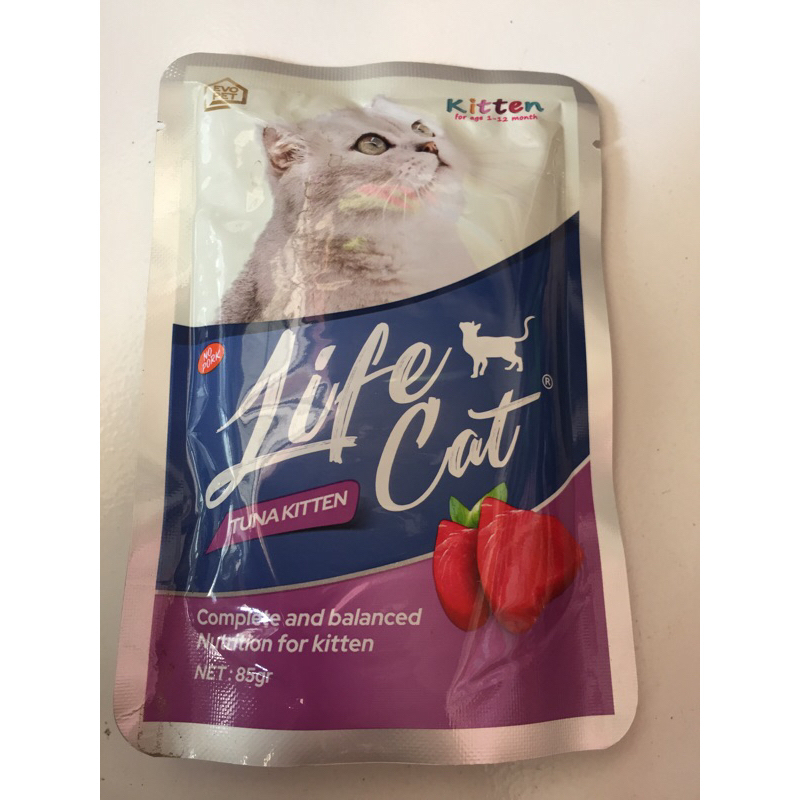 

lifecat tuna kitten