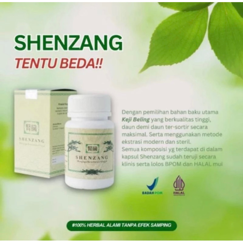 Shenzang Obat Ampuh Mengatasi Batu Ginjal