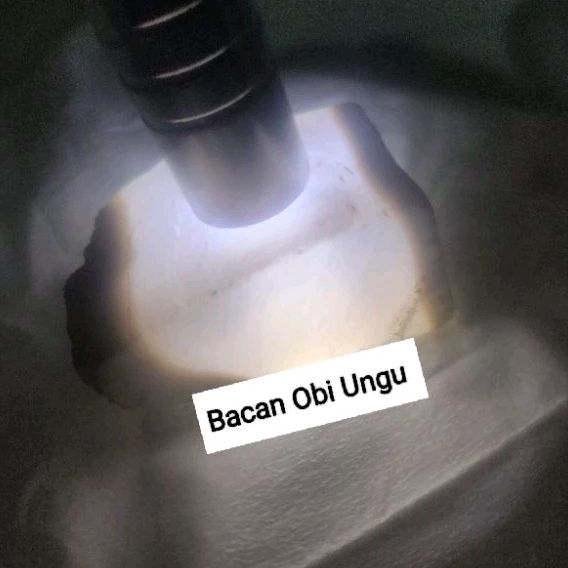 Bacan Obi Ungu Kualitas Super