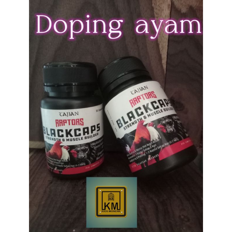 Doping ayam blackcaps, doping ayam herbal