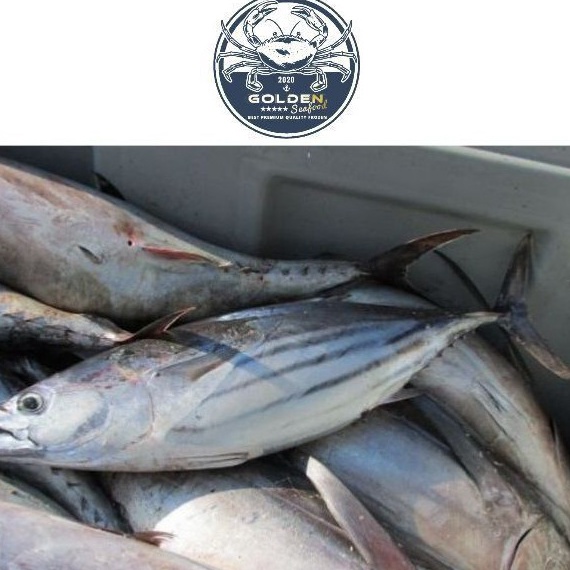 

PALING AMPUH ikan cakalang 1 kg beku kapal