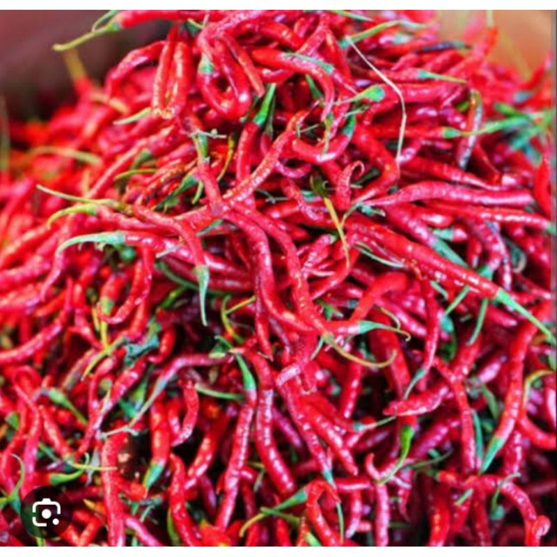 

Cabai Merah Keriting 500 gram