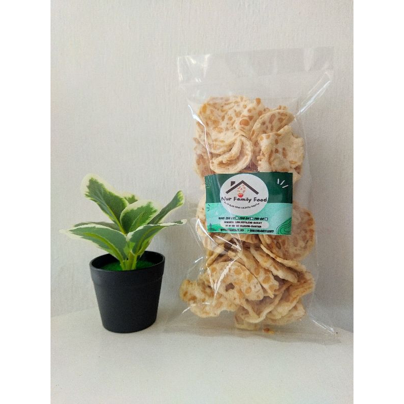 

KRIPIK TEMPE