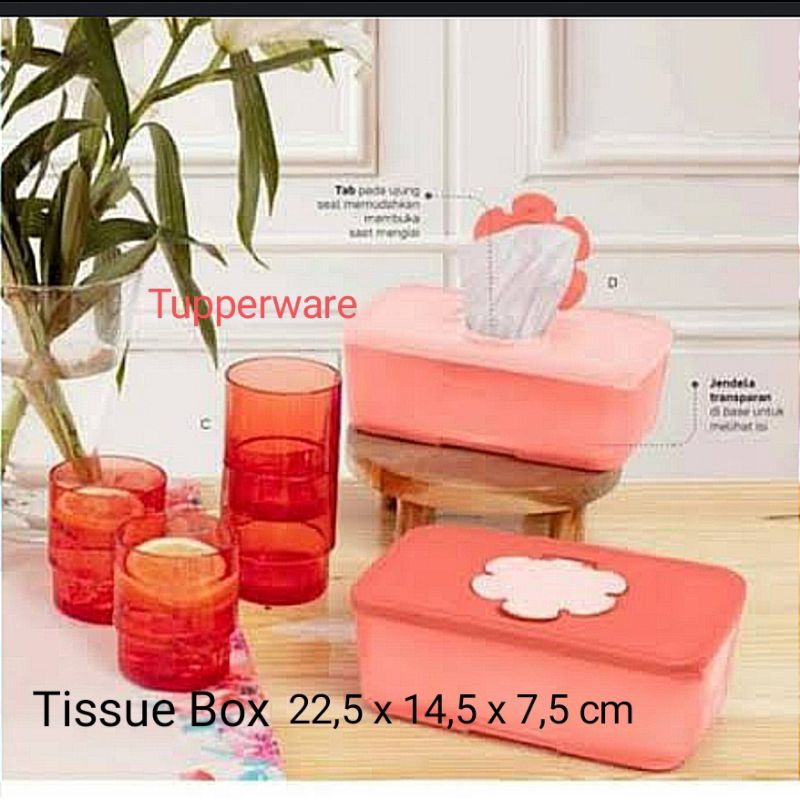 tissue box Tupperware