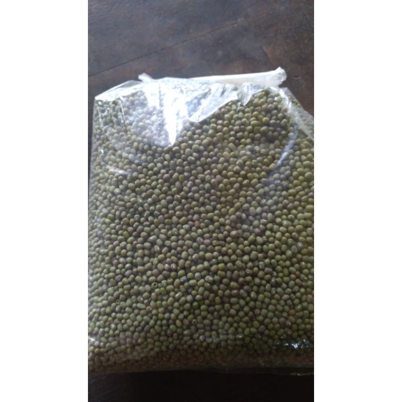 

Kacang Hijau Taoge 1 kg dan 500 gr