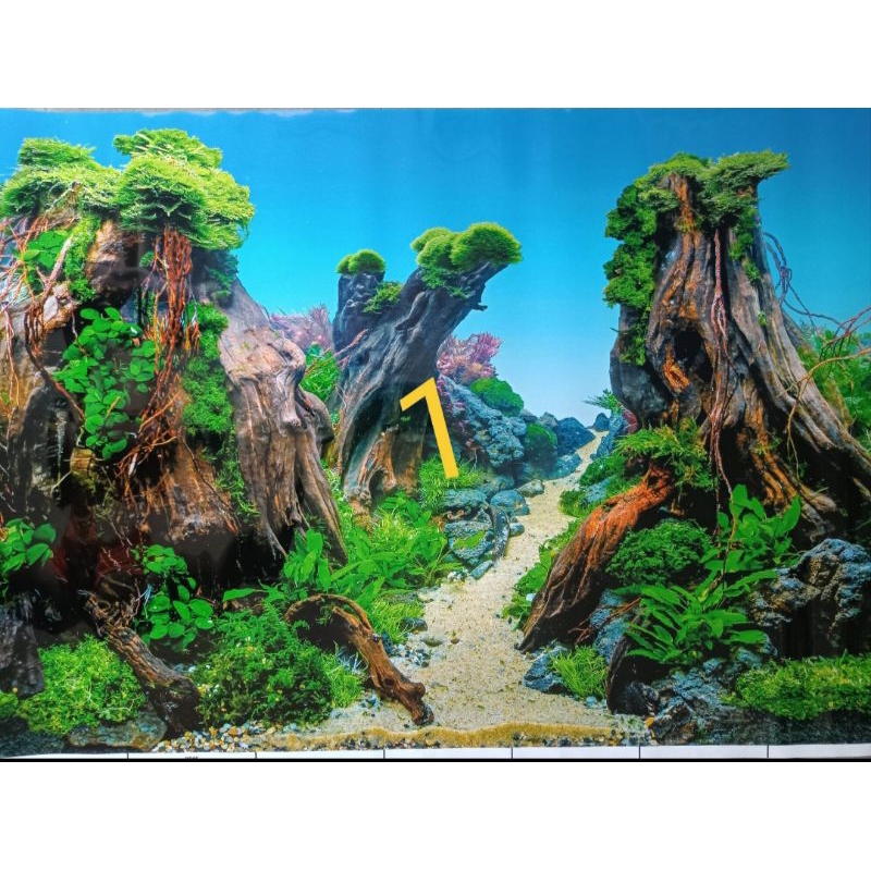 Background Aquarium Tinggi 50 cm Panjang 100 Cm Wallpaper Aquarium