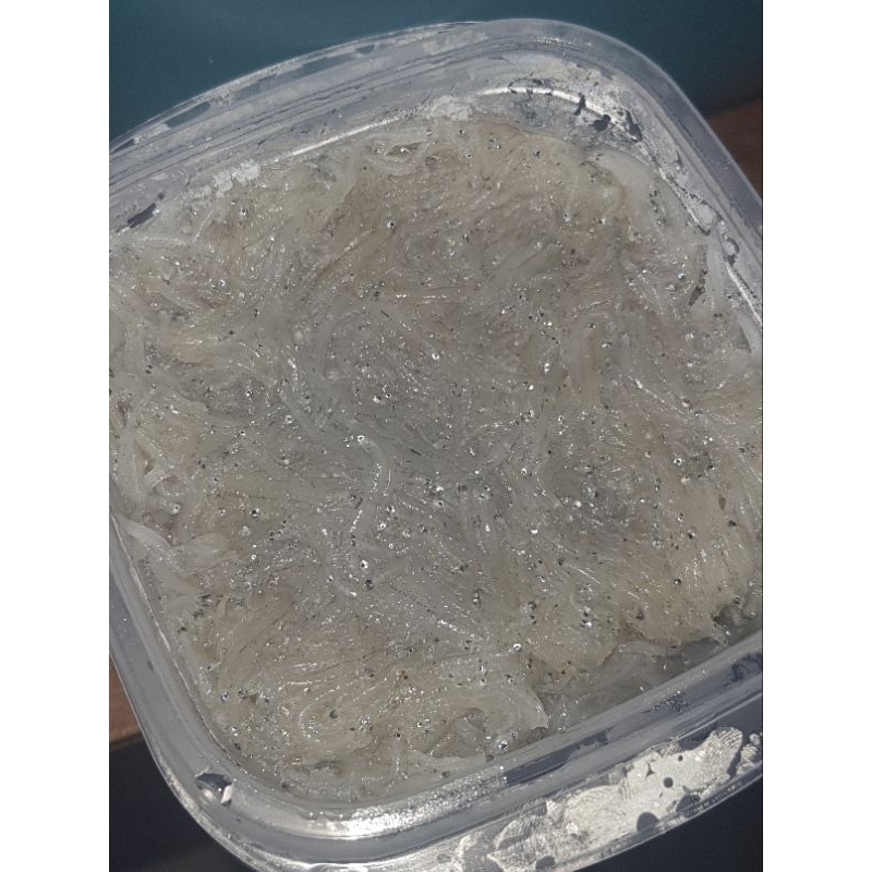 

teri basah mpasi berat 1kg PALING MURAH SEINDONESIA