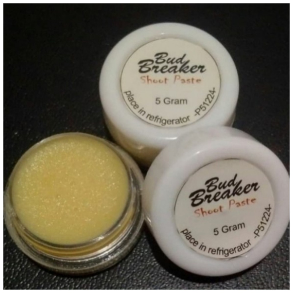 Bud Breaker Salep Pemecah Hormon Penumbuh Mata Tunas Bunga Anggrek 5gram