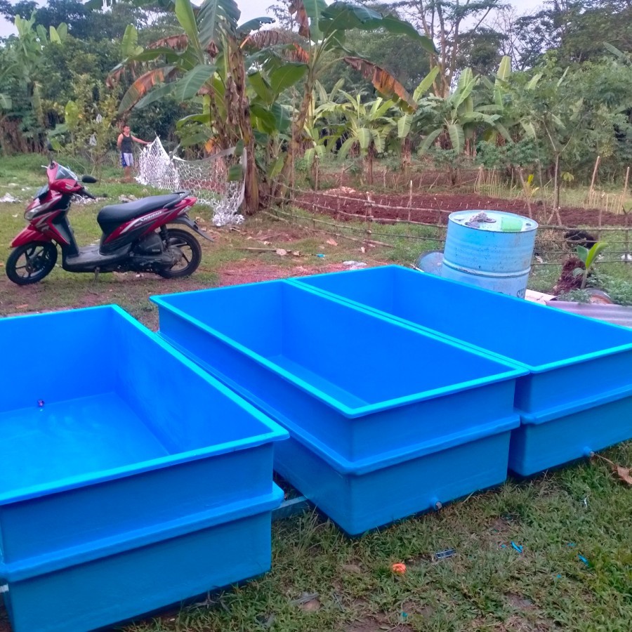 Kolam Ikan Fiber gelass Dengan Ukuran 200x100x50 Cm /Bak Ikan Fiber