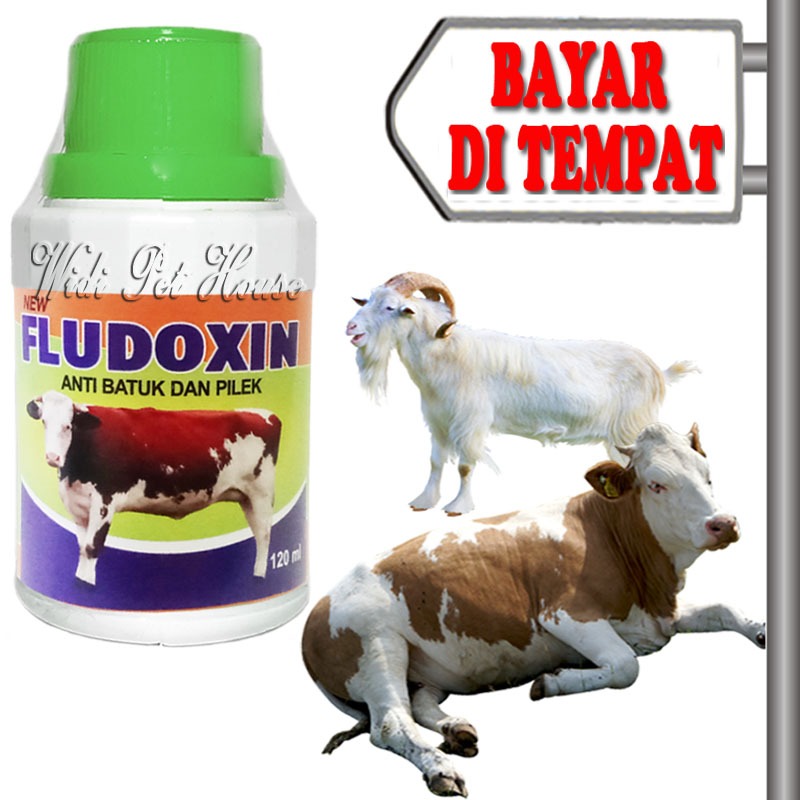 Obat Flu Pilek sapi Kambing Sakit Batuk Pernapasan Fludoxin Hewan Ternak