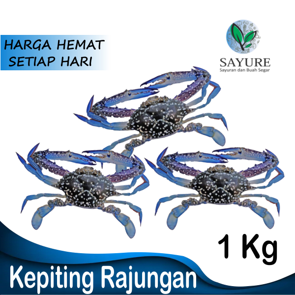 

KEPITING RAJUNGAN 1 KG