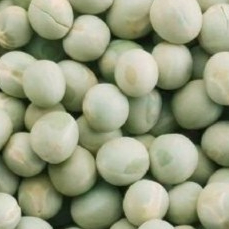 

ORIGINAL DRY GREEN PEAS /KACANG POLONG KERING TERMURAH 500 GRAM