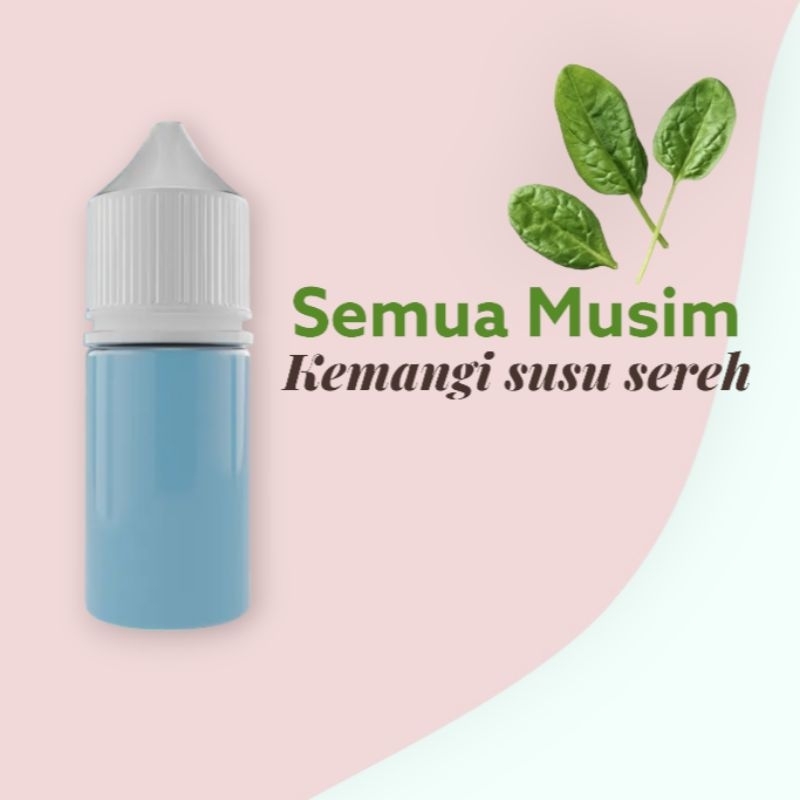 Essen Ikan Mas Oplosan Susu Kemangi Sereh Untuk Mancing dimalam hari dan musim hujan Essen Ikan Mas 