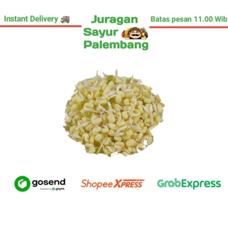 

Kecambah Soto - Juragan Sayur Palembang