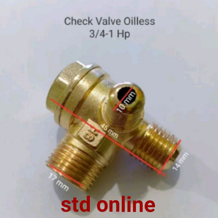 Sds Check valve kompresor oilles chek valve otomatis kompresor oilles