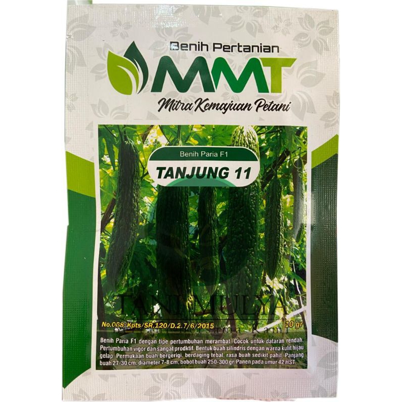 BENIH PARIA F1 TANJUNG 11