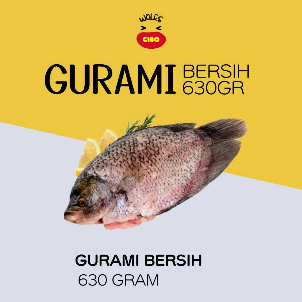 Gurami Bersih 630gr / ikan gurame fresh / ikan gurame segar frozen / gurami frozen / gurami bersih f