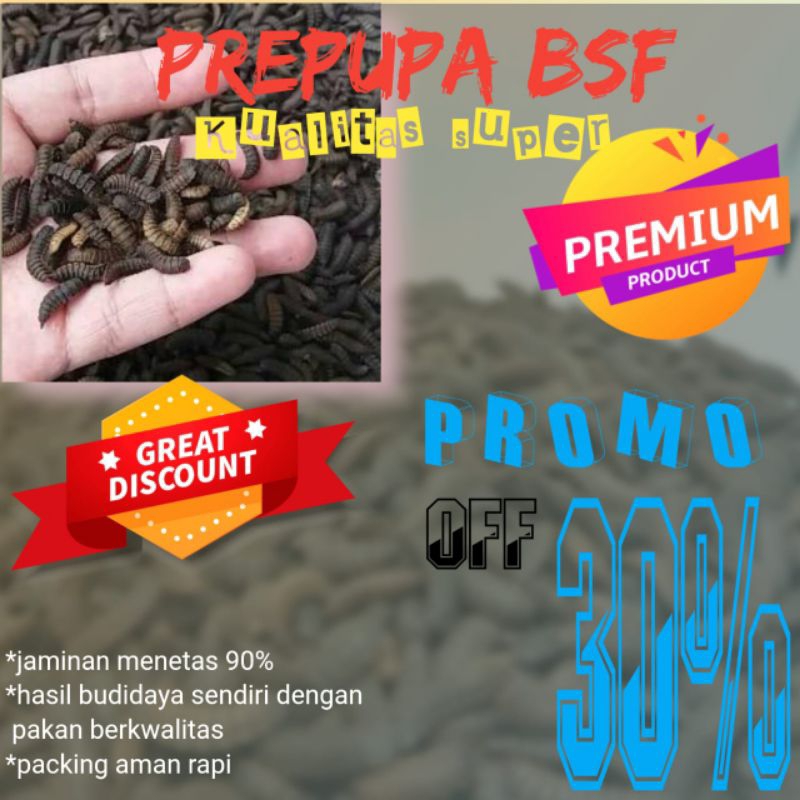 Prepupa Bsf super murah