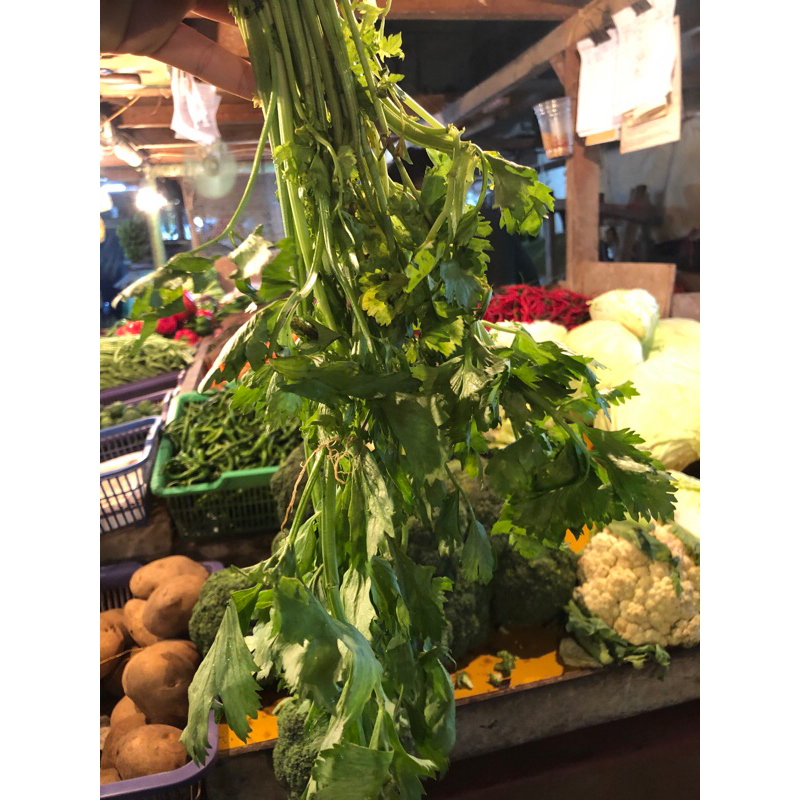 

DAUN SELEDRI 250G