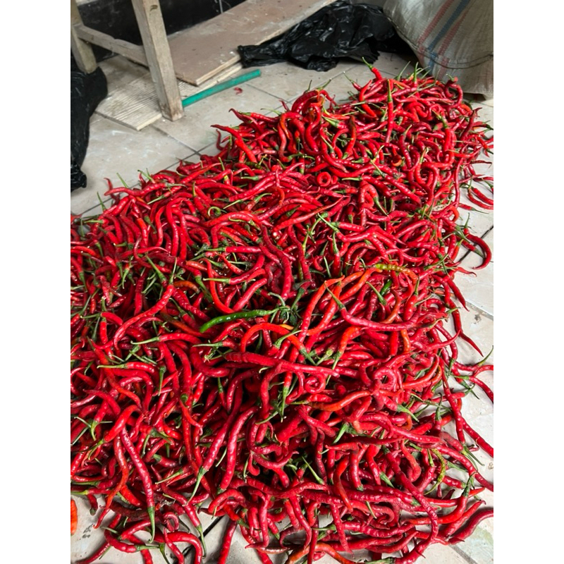 

Cabe Merah Keriting 100 250 500 gram 100gram gr 0,25 0,5 0,1 kg 1 ons Kriting Lombok Fresh Murah Cabai