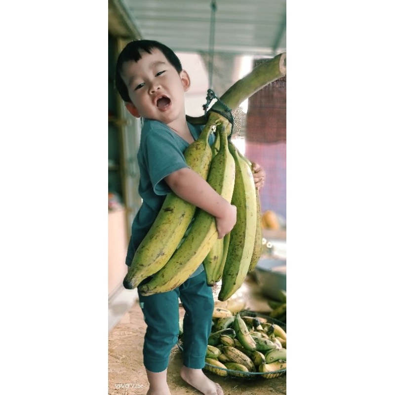 

pisang tanduk,brangan,ambon,awak,lilin 1kilo BATAM