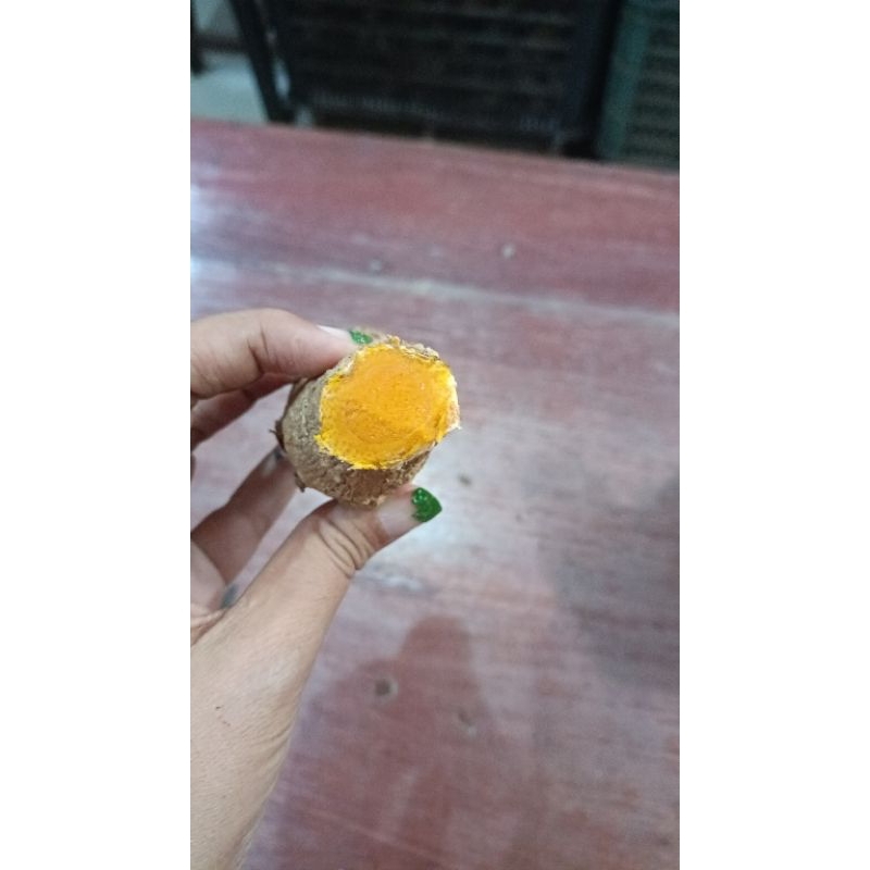

Temulawak segar