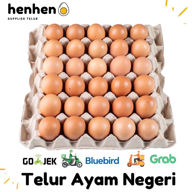 

TERBARU TELUR AYAM NEGERI PER kg SEGAR Supplier Telur Hen hen