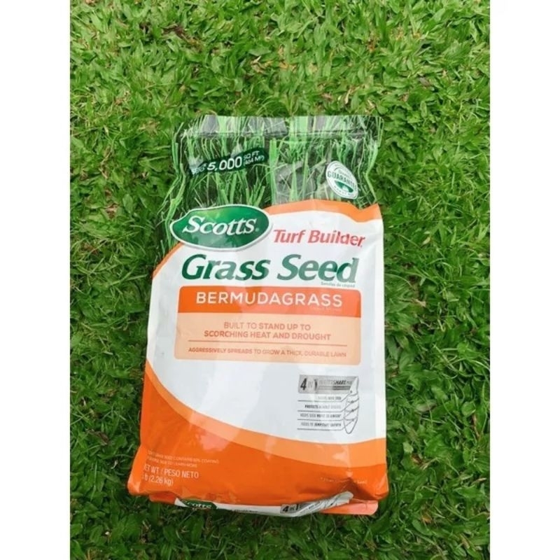 SCOTTS Turf Builder Grass Seed Bermuda grass 2LBS / Bermuda grass benih rumput lapangan bola & golf 