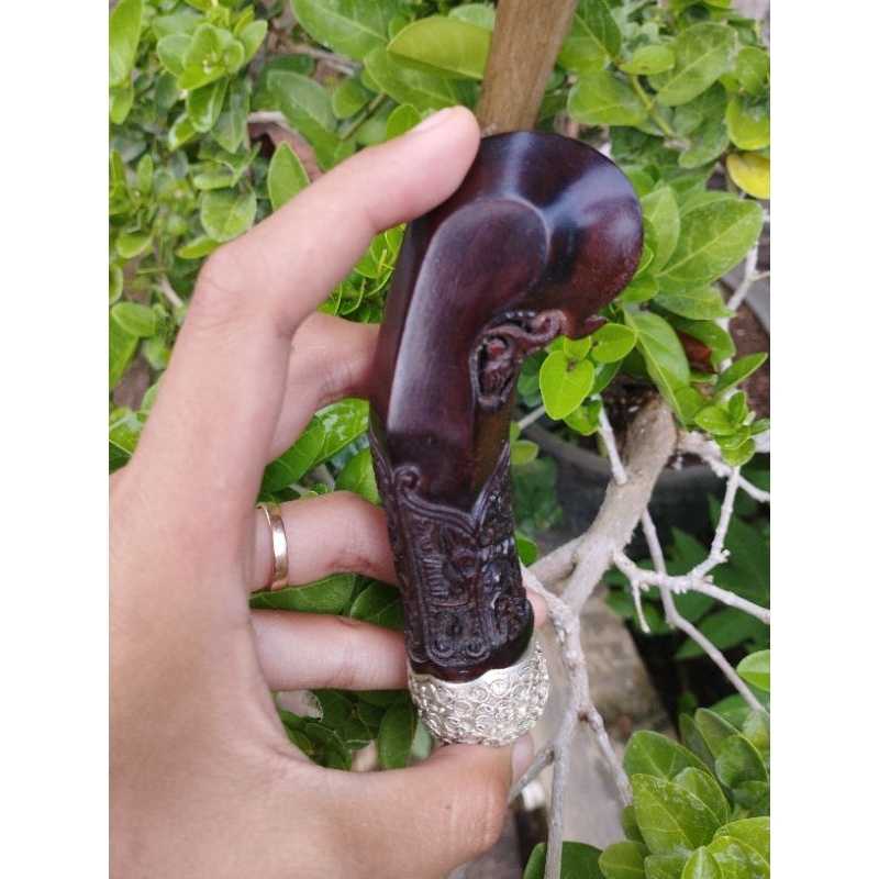 deder putri kinurung + selut