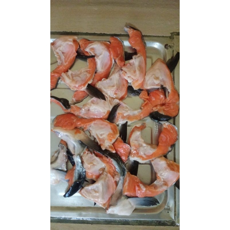 

Rahang salmon