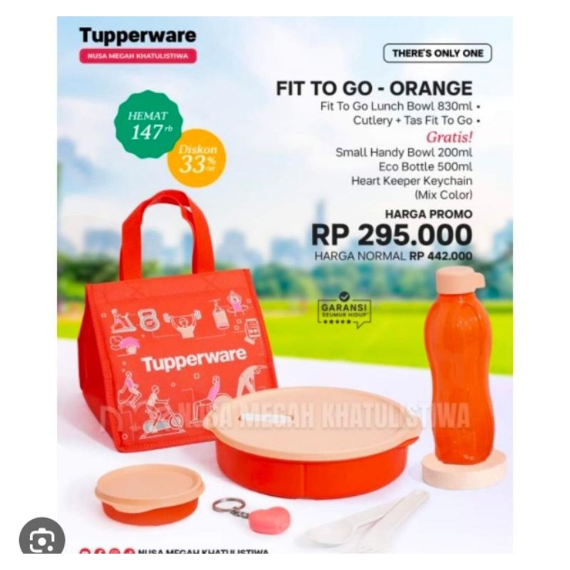 Promo kotak makan Tupperware.Fit to go - orange.