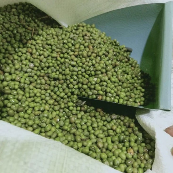 

XTKP5731 COD NEWPRODUCT kacang ijo Australia kacang ijo lokal bubur 1 kg kualitas super