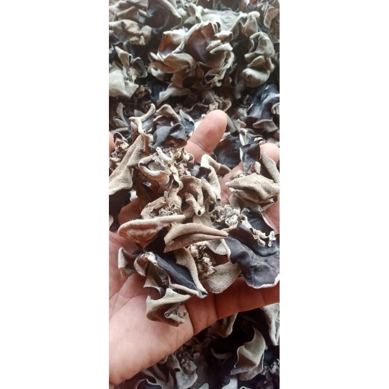 

jamur kuping kering 500gram
