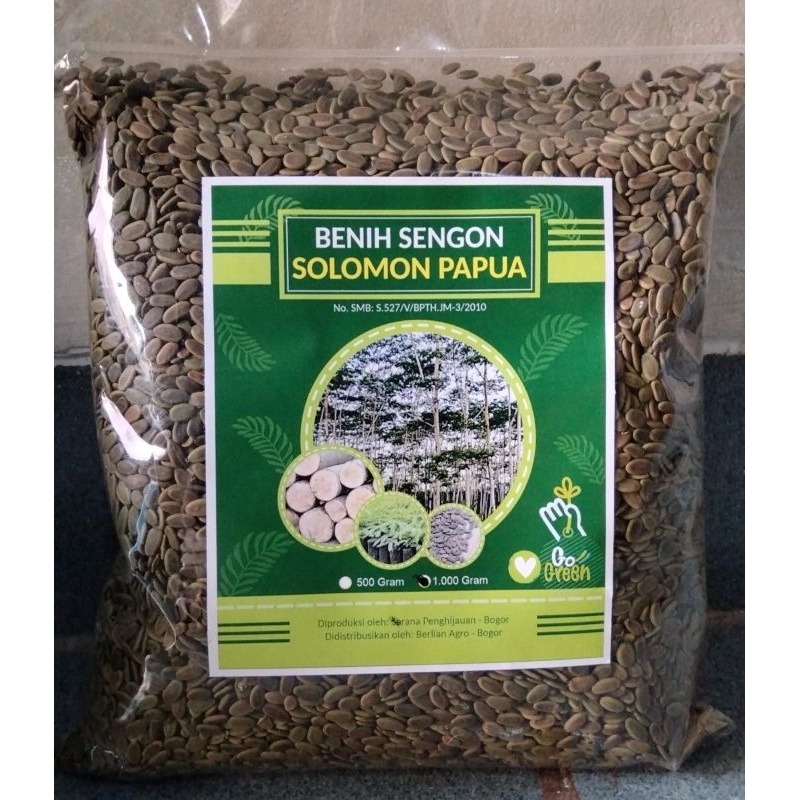 Benih Sengon Solomon || Bibit Sengon Solomon || Biji Sengon Solomon || Sengon Solomon
