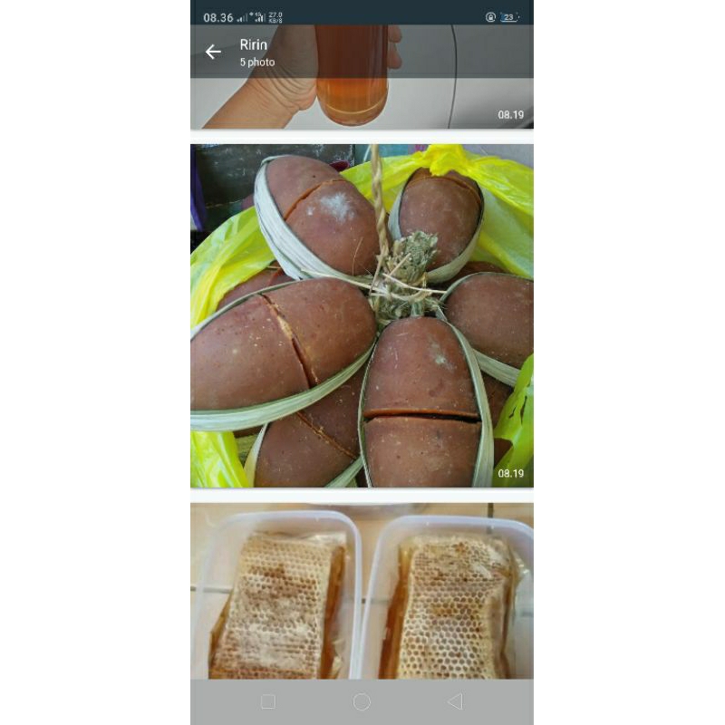 

gula murni