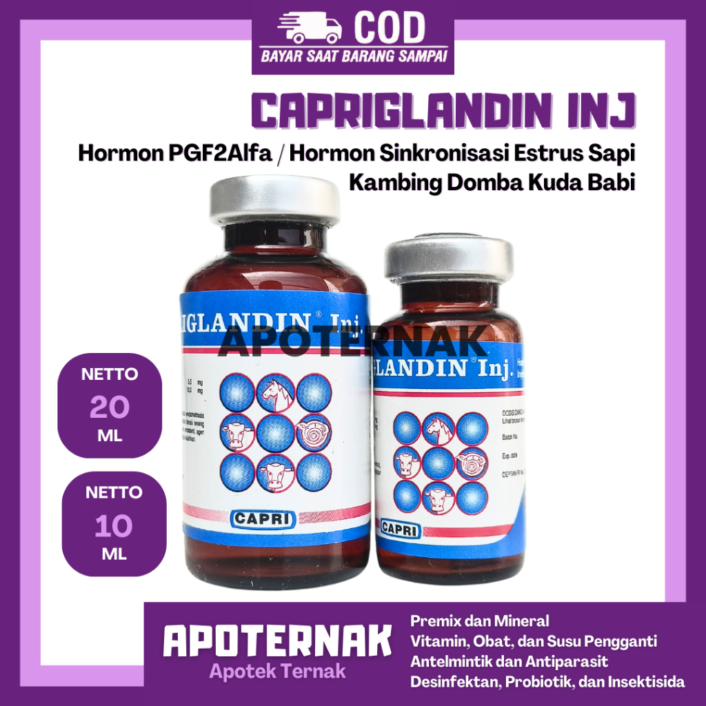 CAPRIGLANDIN INJ - Hormon Sinkronisasi Estrus Sapi Kambing Domba Kuda Babi