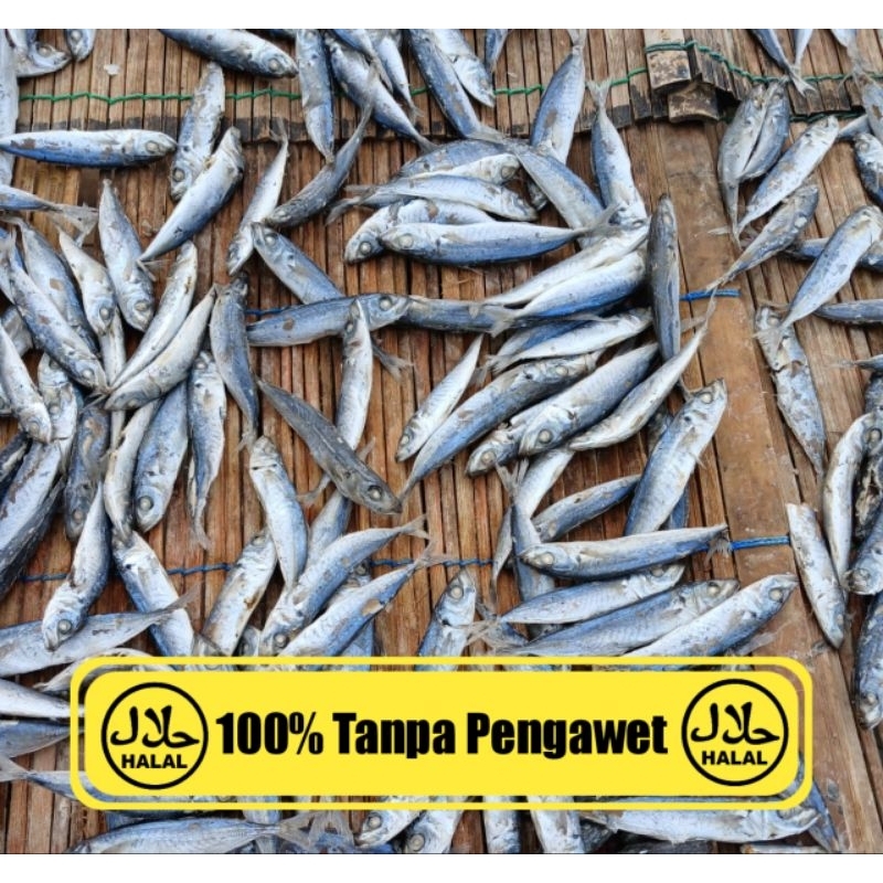 

IKAN LAYANG REBUS ASIN 500gram- 1kg KUALITAS TERBAIK