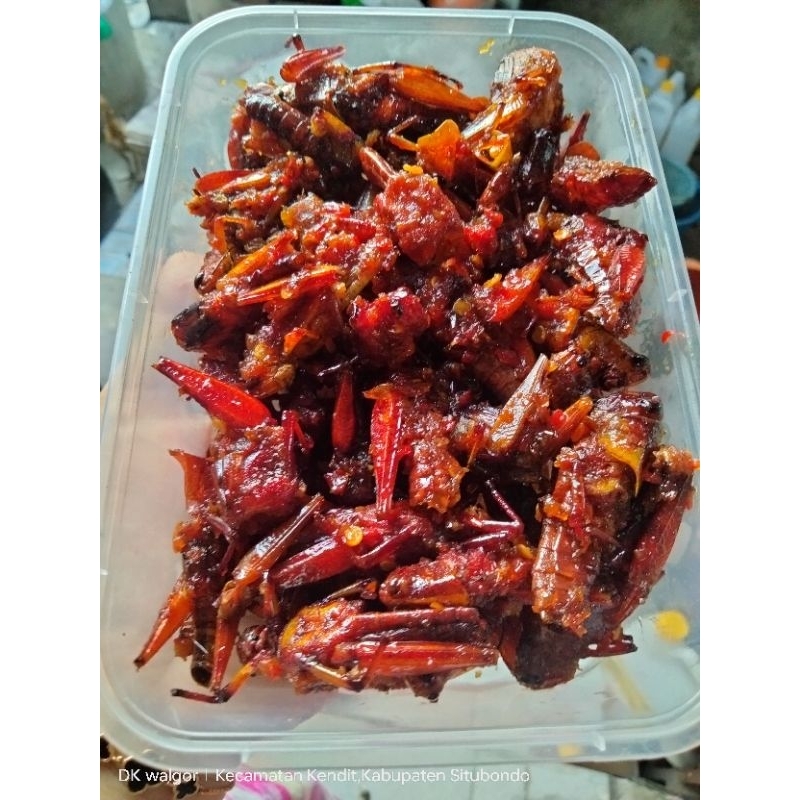 

belalang goreng kriyuk