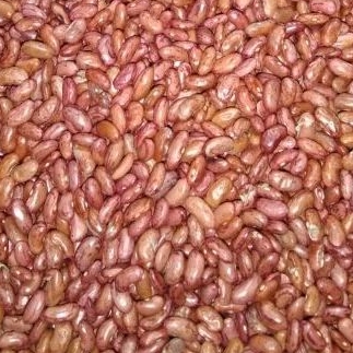 

kacang merah super fresh 250grm