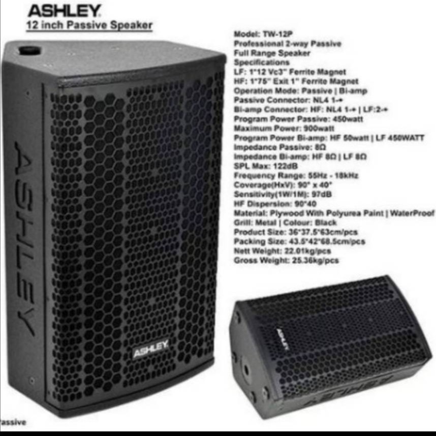 Speaker Pasif ASHLEY TW12P TW 12P TW 12 P ORIGINAL 12 INCH