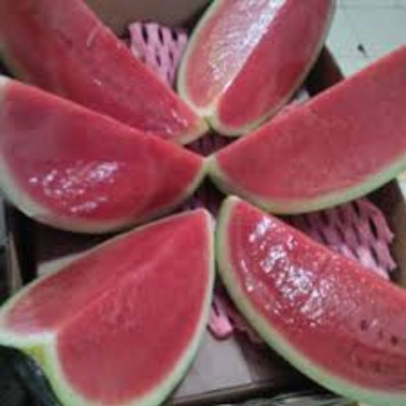 

Semangka Merah Super , berat 1 - 2,5kg